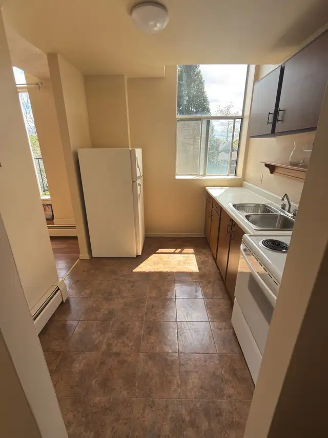 Cute & Cozy All Inclusive 1 Bdrm Apt Available June 1st - Photo 4