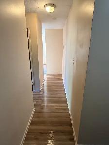 Cute & Cozy All Inclusive 1 Bdrm Apt Available June 1st - Photo 5