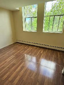 Cute & Cozy All Inclusive 1 Bdrm Apt Available June 1st - Photo 7