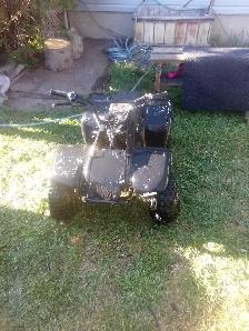 kids quad - Photo 4