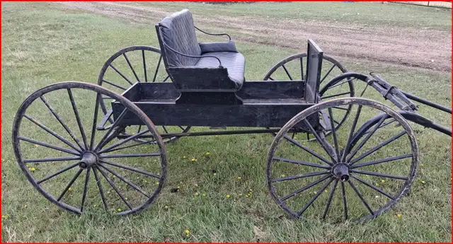 A Single Horse Drawn Buggy.