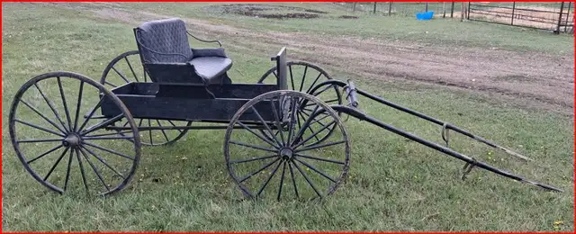 A Single Horse Drawn Buggy. - Photo 3