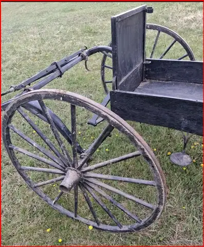A Single Horse Drawn Buggy. - Photo 5