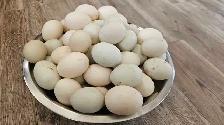 Duck eggs