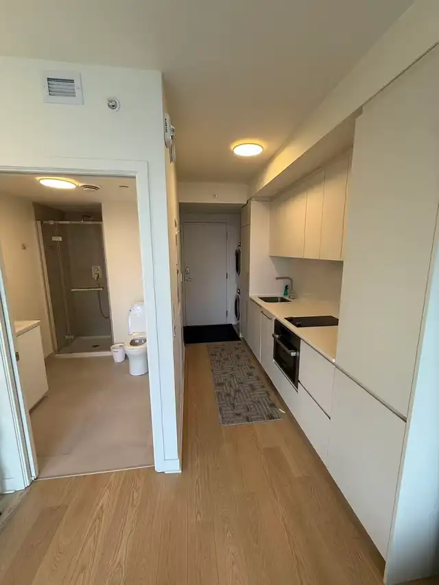Montreal Downtown Luxury Studio for Rent. Near Place Des Arts - Photo 5