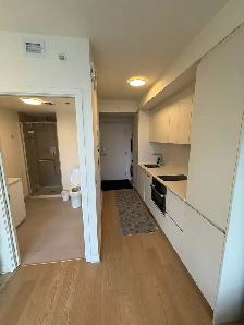 Montreal Downtown Luxury Studio for Rent. Near Place Des Arts - Photo 5
