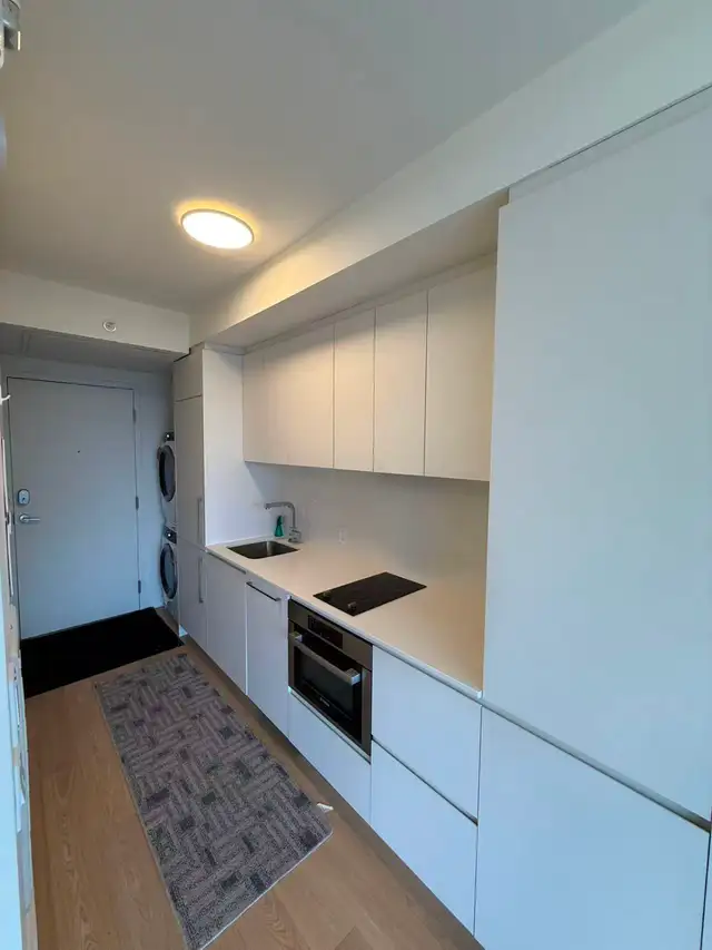 Montreal Downtown Luxury Studio for Rent. Near Place Des Arts - Photo 6
