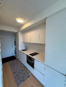 Montreal Downtown Luxury Studio for Rent. Near Place Des Arts - Photo 6