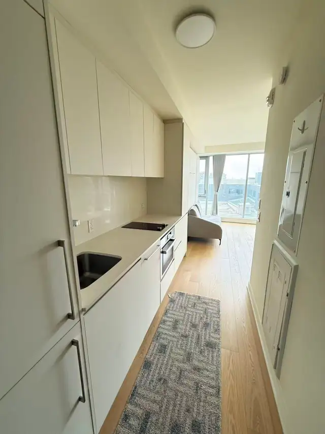 Montreal Downtown Luxury Studio for Rent. Near Place Des Arts - Photo 7