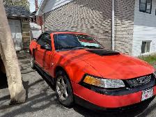 Mustang 2004 (45e anniversaire)