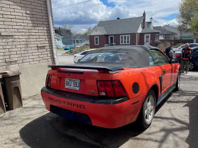 Mustang 2004 (45e anniversaire) - Photo 2