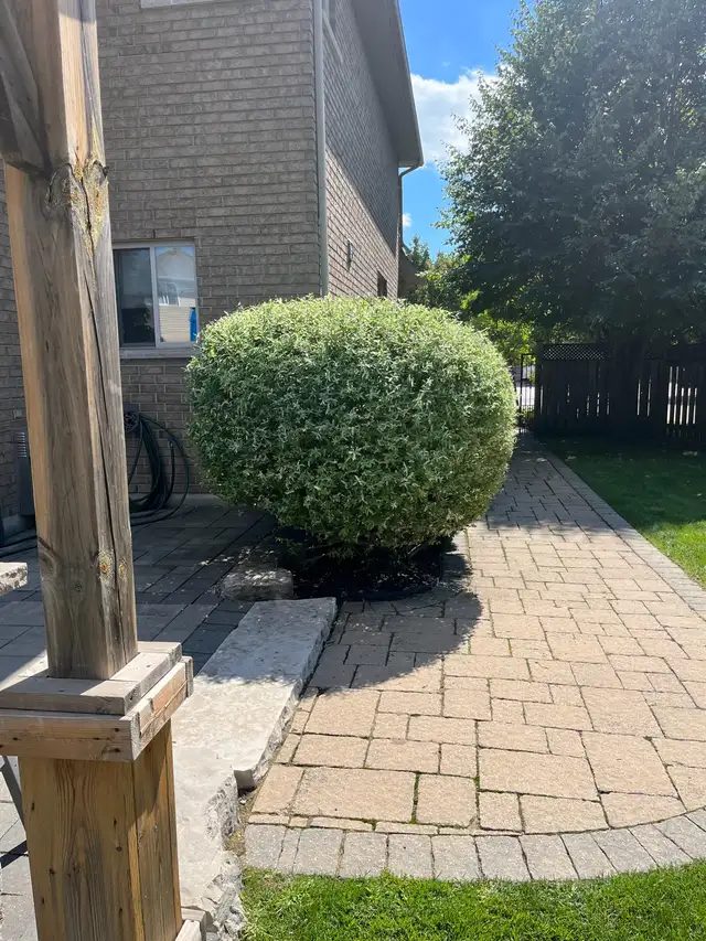 Garden Landscaping - Photo 2
