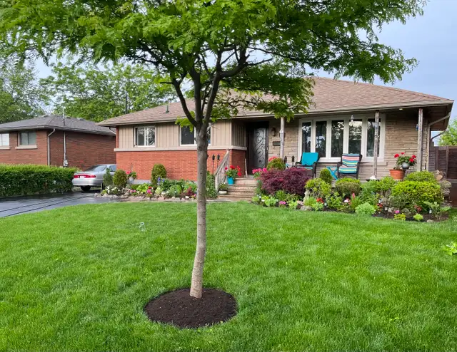 Garden Landscaping - Photo 3
