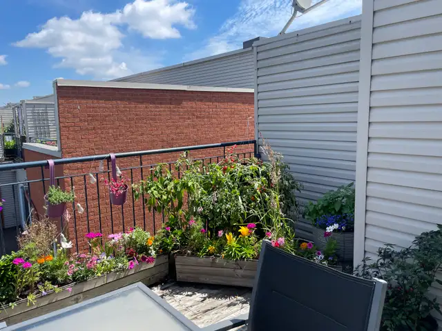 TOUT INCLUS : Très grand condo à louer sur le plateau! - Photo 6