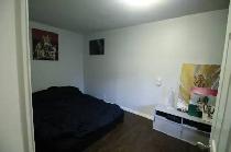 1 BEDROOM 1 BATH APARTMENT - Photo 5