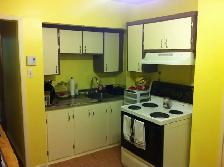 Appartement 2 1/2 Hochelaga MÉTRO PRÉFONTAINE, électro inclus - Photo 2