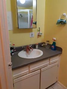 Appartement 2 1/2 Hochelaga MÉTRO PRÉFONTAINE, électro inclus - Photo 5