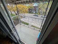 Rosemont,Saint-Zotique12èmeAvenueMétroSaint-Michel,Parc Beaubien - Photo 23