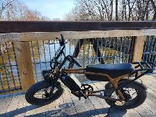 velo électrique