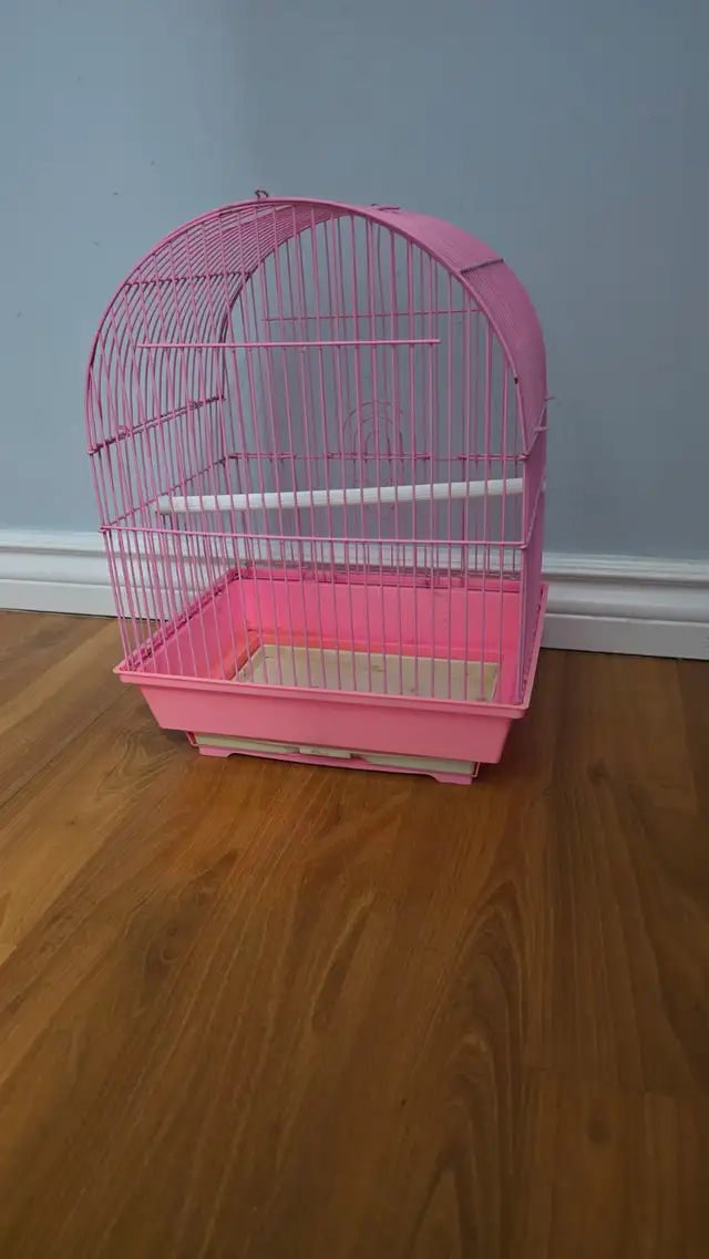 Small bird cage