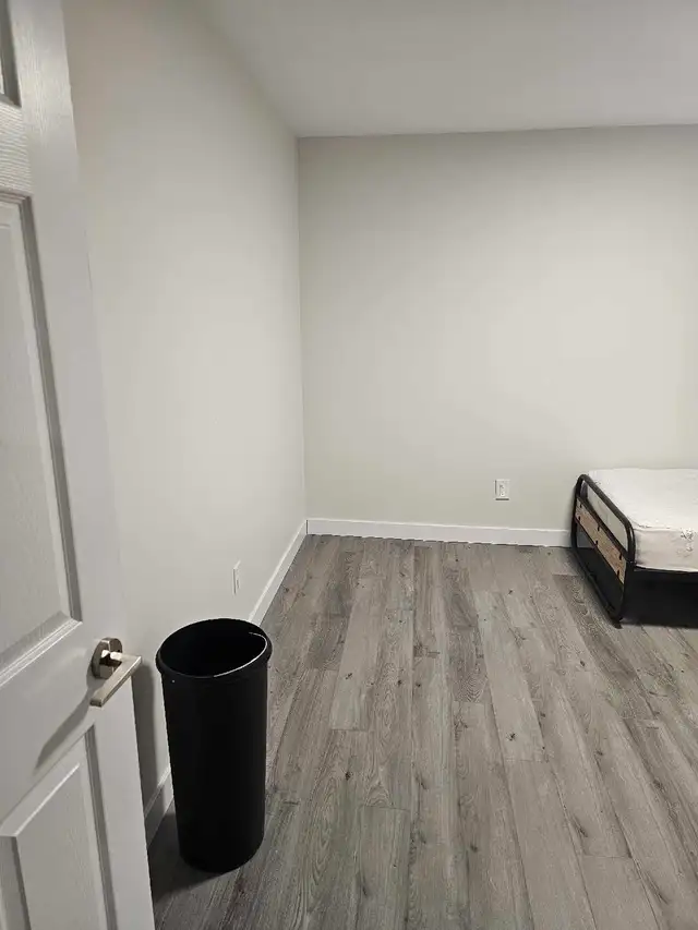 Basement - Photo 7