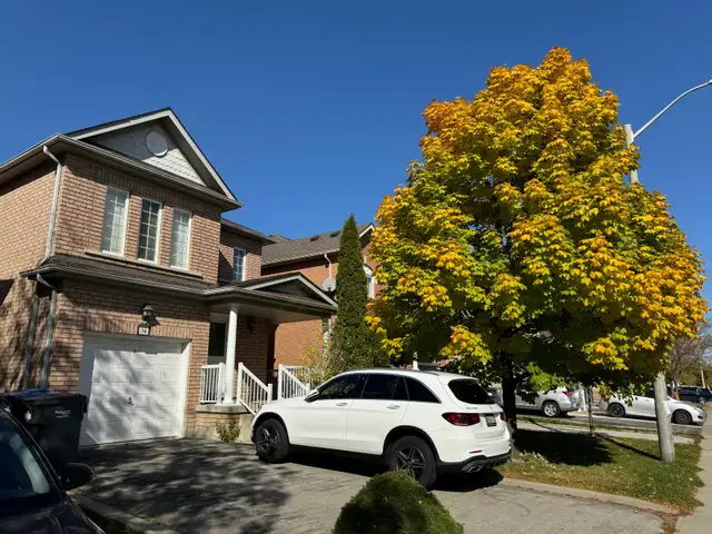 For Rent : Beautiful 3 Bed 3 Bath, Prime location - Photo 2