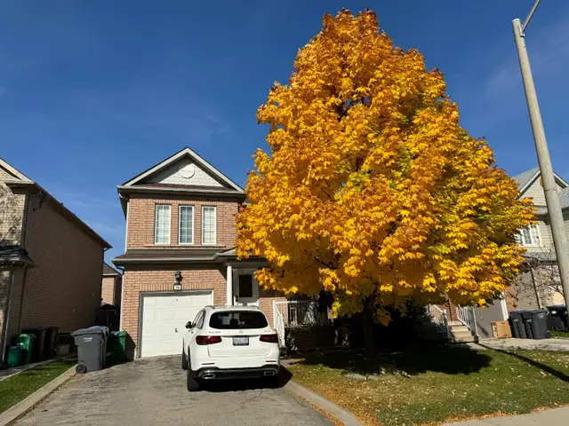For Rent : Beautiful 3 Bed 3 Bath, Prime location - Photo 3