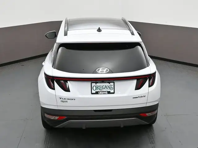 2023 Hyundai Tucson Luxury Hybrid Leather, Sunroof, Heated Seats - Photo 49