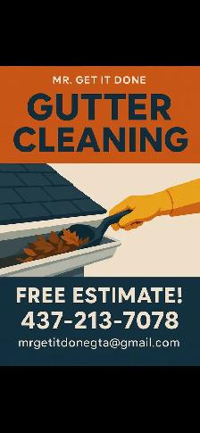 gutter cleaning