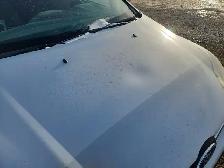 2012 Ford Focus - Photo 32
