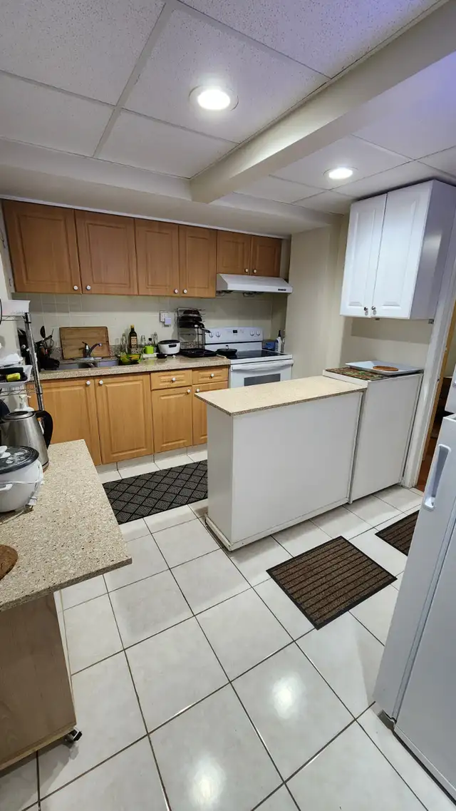 BASEMENT ROOMS FOR RENT NEAR UTSC AND CENTENNIAL COLLEGE - Photo 2