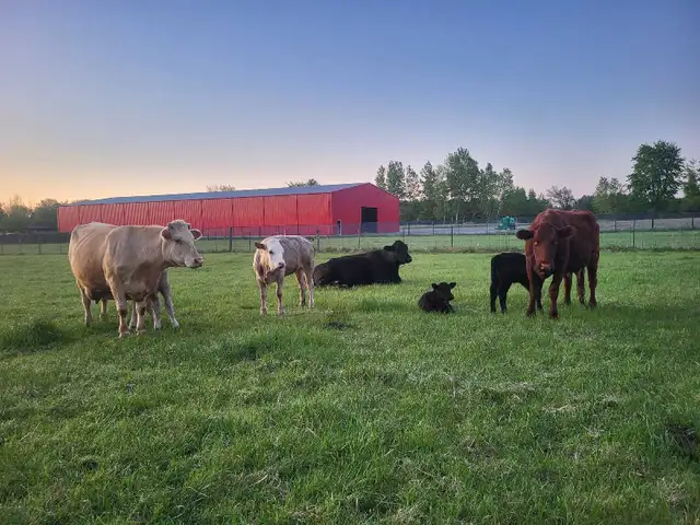 farm help needed