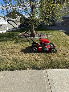 lawn mower