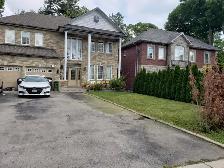 Walkout basement apartment for rent, best area of Scarborough