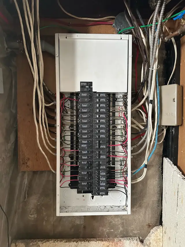 electrician or apprentice