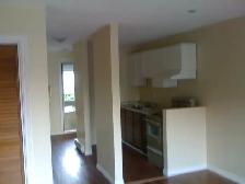 Nice bachelor for rent