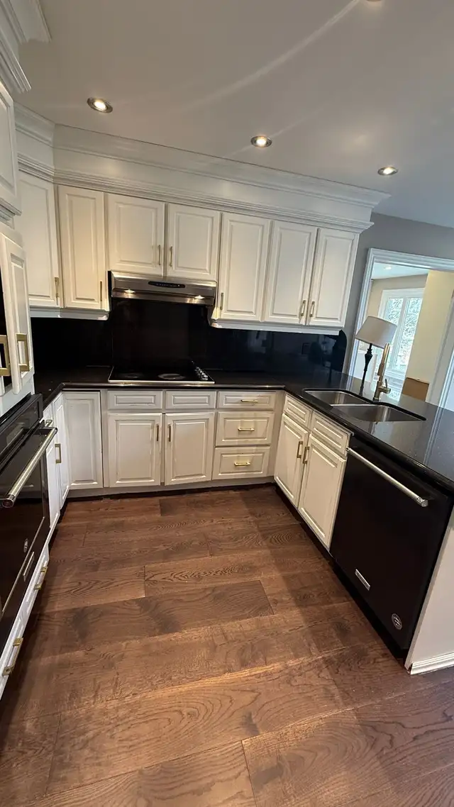 Solid Wood Kitchen Cabinets   Granite Countertop & Sink - Photo 3