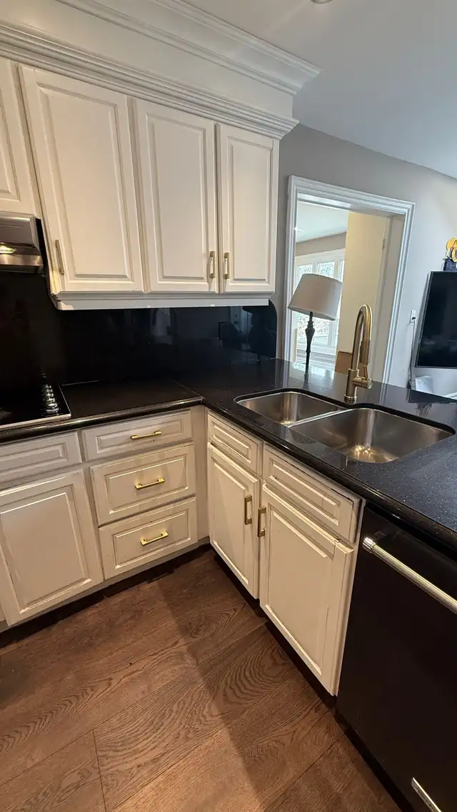 Solid Wood Kitchen Cabinets   Granite Countertop & Sink - Photo 4