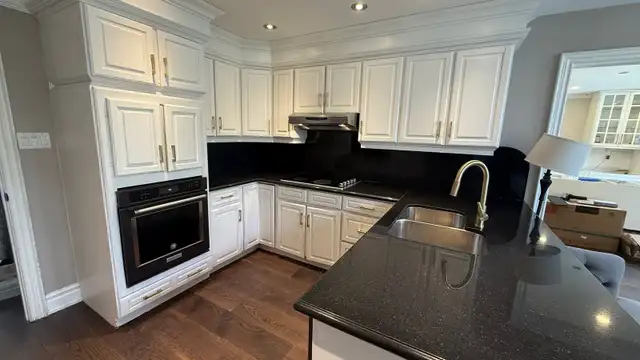 Solid Wood Kitchen Cabinets   Granite Countertop & Sink - Photo 9