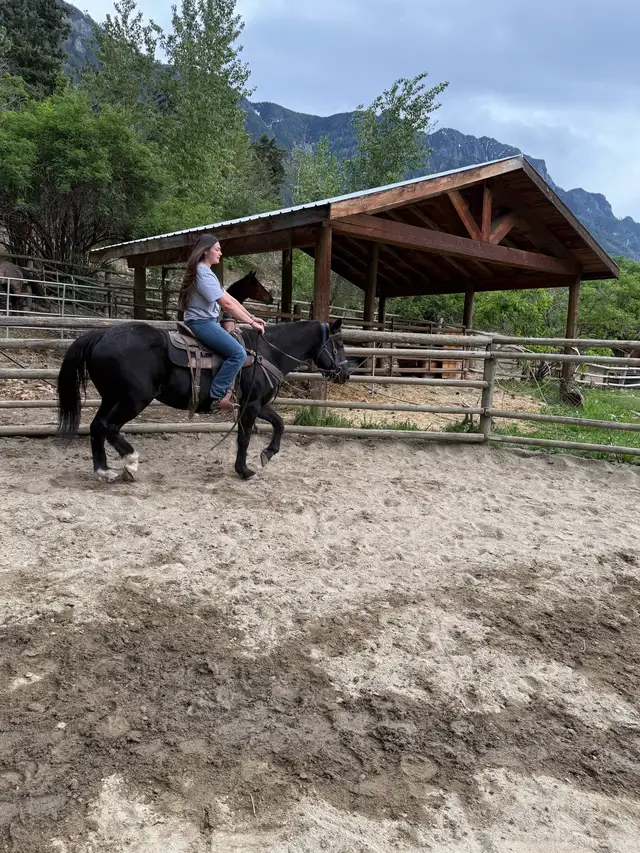 20 year old mare - Photo 6