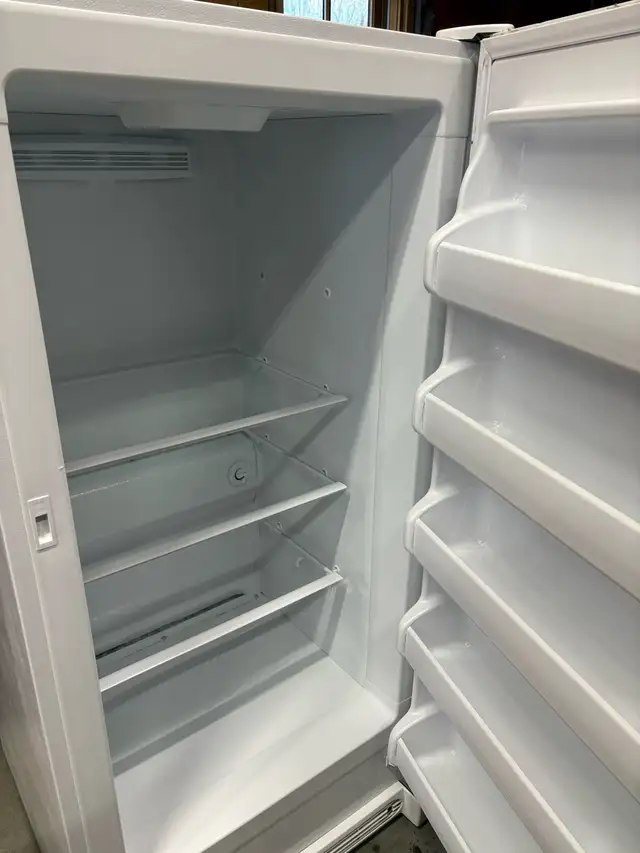 standup freezer