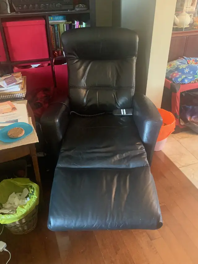 Power Lift Chair - FREE - Photo 2