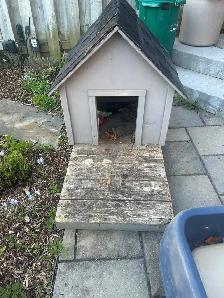 Wooden Dog House - FREE