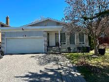 Best Deal! Really Spacious! One Bedroom Unit Rent