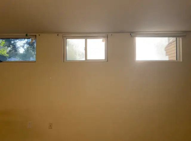 Best Deal! Really Spacious! One Bedroom Unit Rent - Photo 5