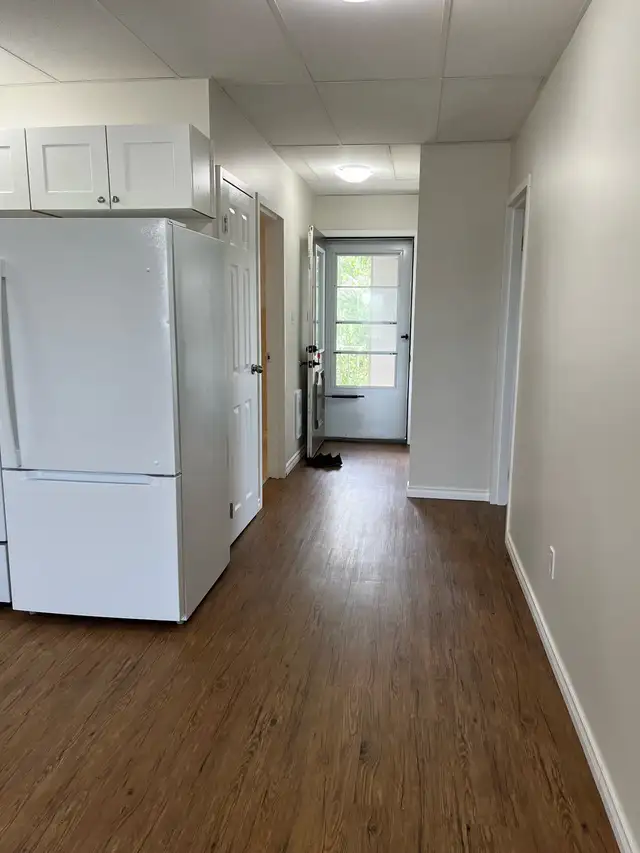 Spacious and newly renovated 2 Bedroom walk up in Val Caron. - Photo 4