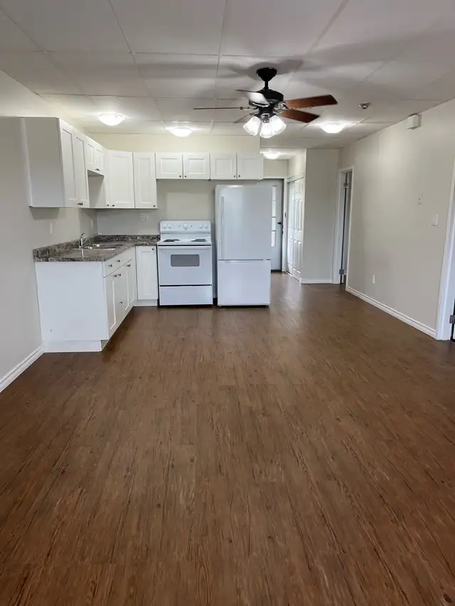 Spacious and newly renovated 2 Bedroom walk up in Val Caron. - Photo 6