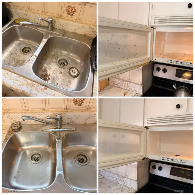 Professional Cleaning Service – Toronto & GTA - Photo 5