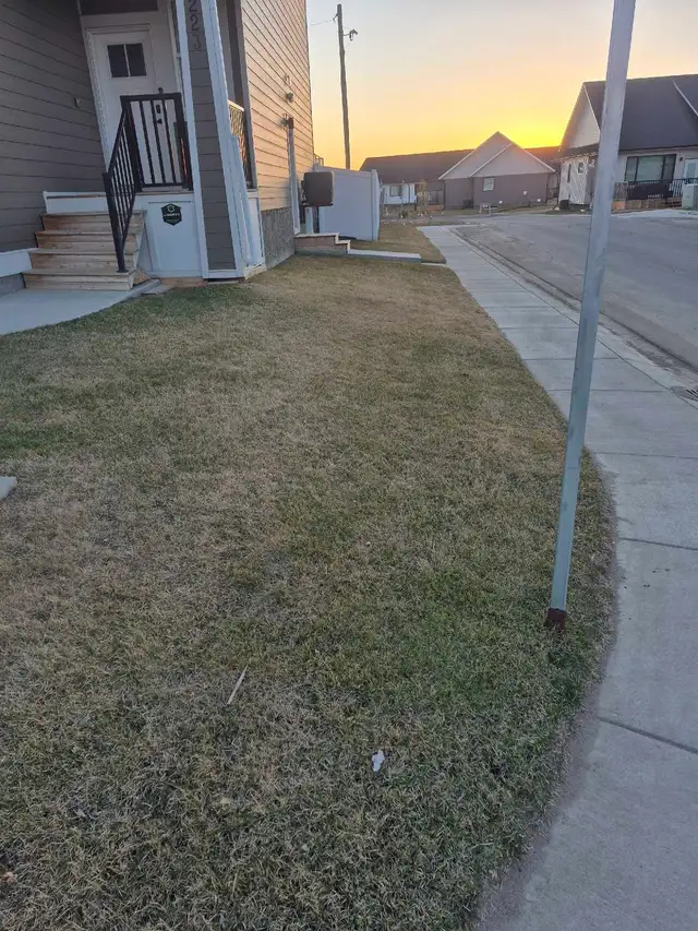 Spring Lawn Cleanup - Photo 2