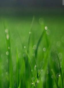 Landscape Labourer/workers Needed